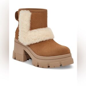 Brand New in Box Ugg Sunburst Brooklyn Chestnut Waterproof Boots